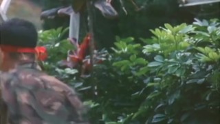 香港三級片 風流夢